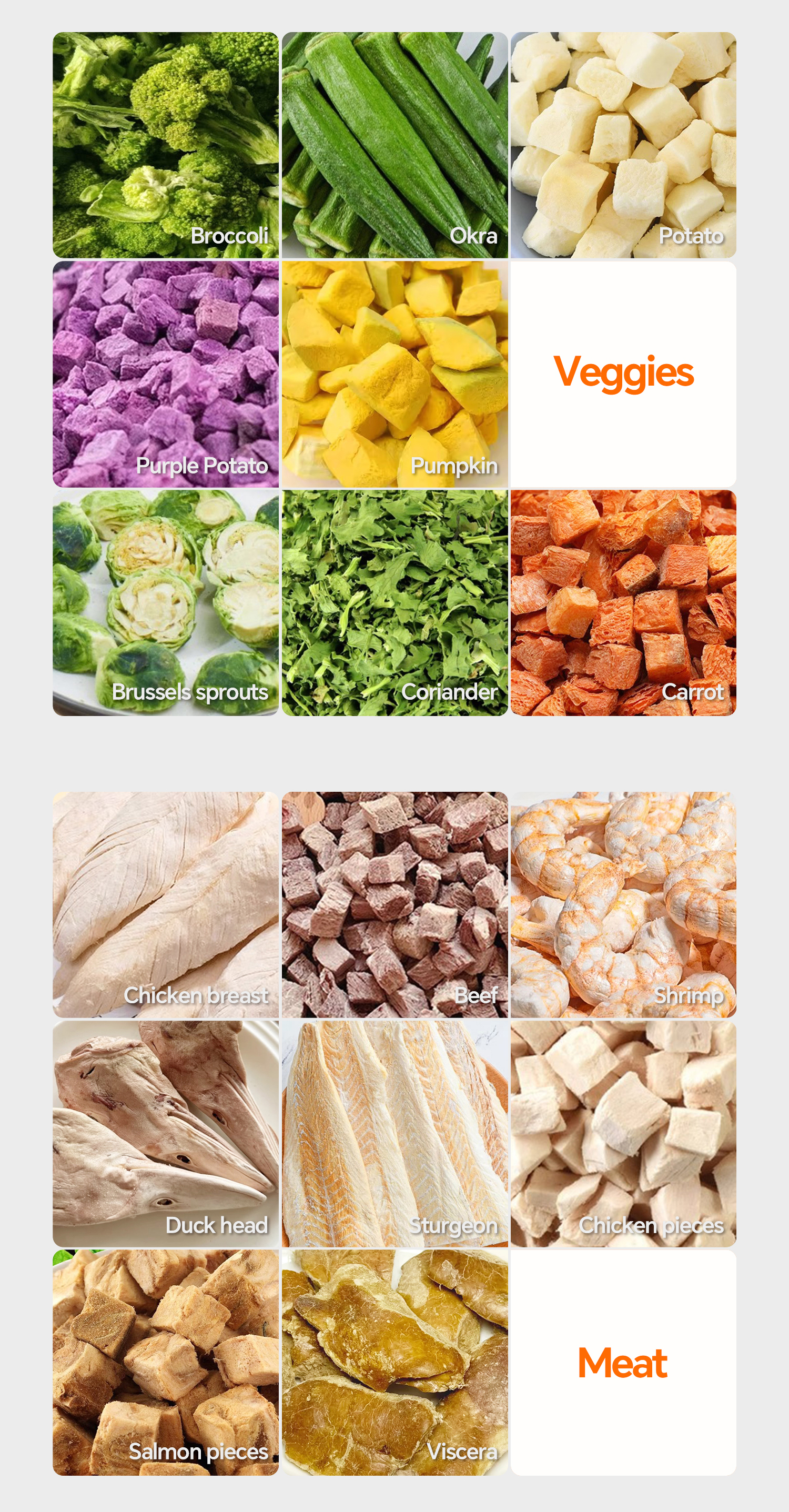 Freeze Dryer