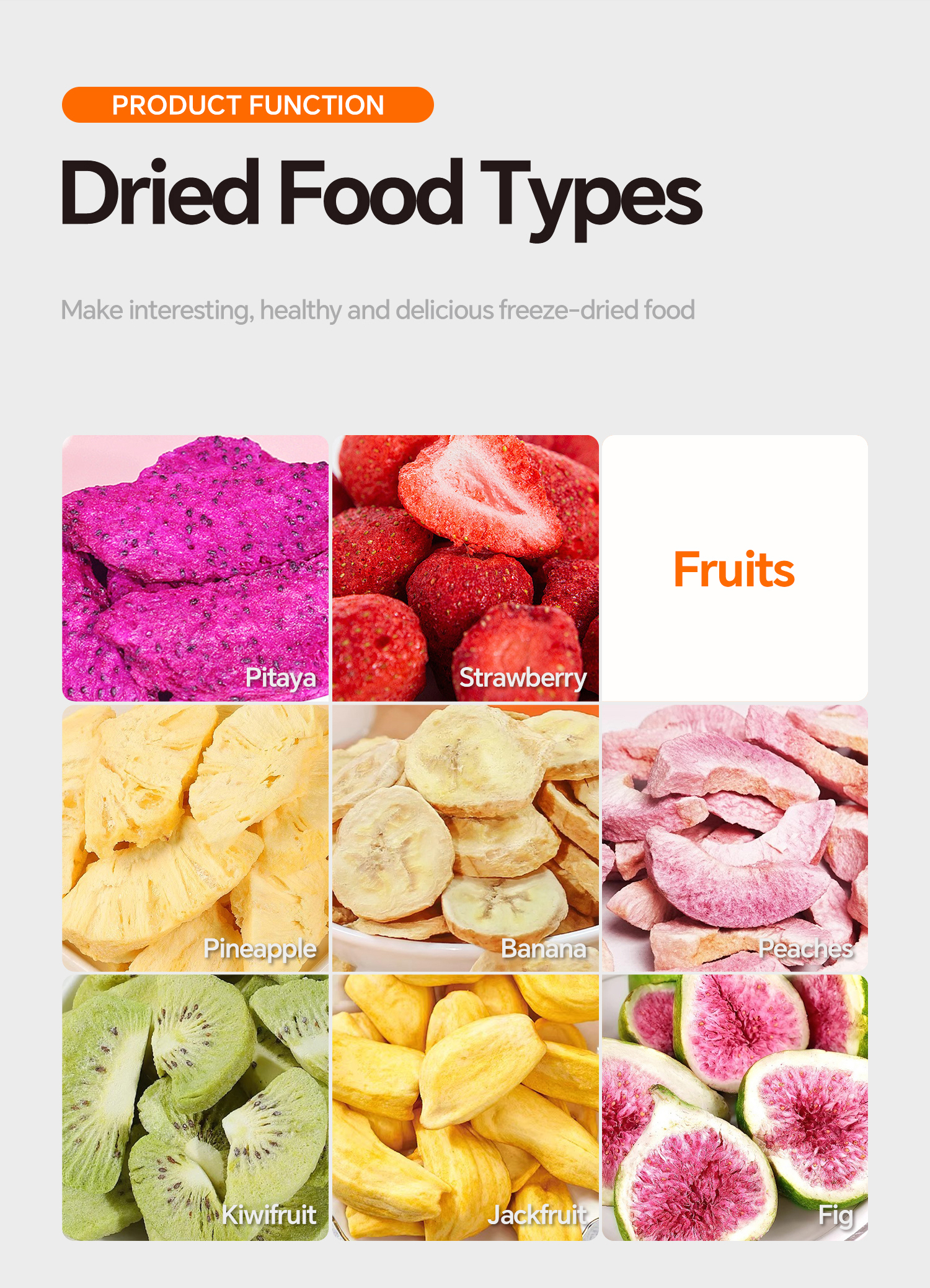 Freeze Dryer