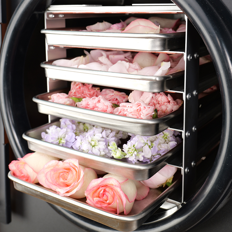 4-layer Home Pro Freeze Dryer